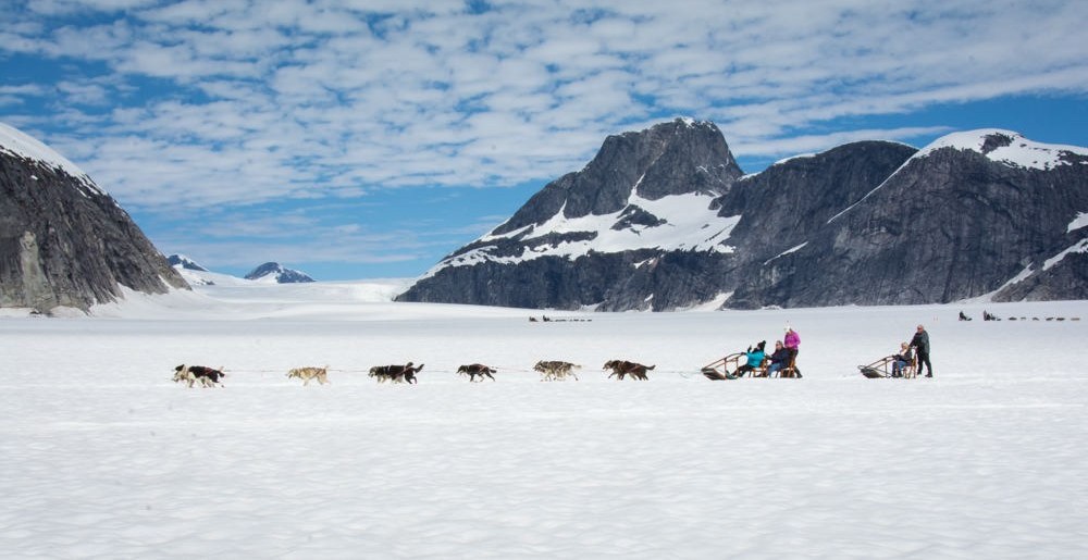 Northstar Trekking Glacier Dog Sled Adventure in…